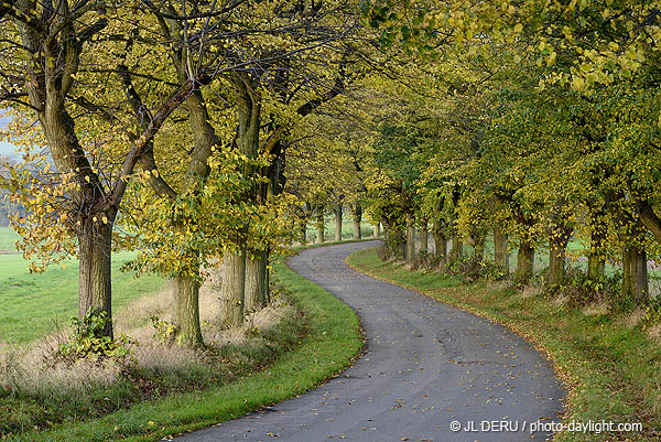 paysage automne